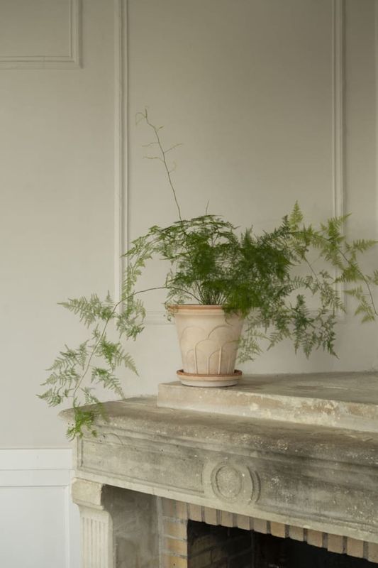 Fleur. Stretching towards the light ø 18  Rosa - Bergs potter