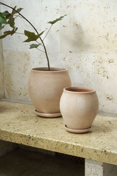 Hovedbilde Delphi rosa 22 tall - Bergs potter