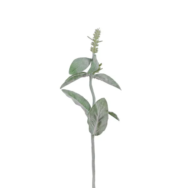 Hovedbilde Lammeøre 43 cm - Mr Plant